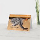 Pesquisar por do sem vergonha cartoes Gato