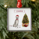 Pesquisar por american staffordshire terrier ornamentos Cão