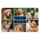 Pesquisar por animais marinhos imas Foto