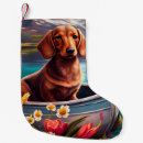 Pesquisar por dachshund meias de natal Cachorro