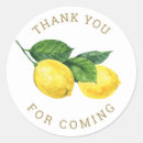 Pesquisar por frutas papel adesivos Para ela