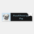 Pesquisar por holandês autocolantes Cão