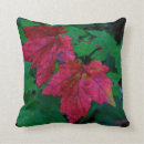 Pesquisar por new hampshire vermelho Folha