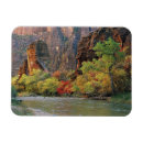 Pesquisar por virgem das rochas imas Natureza