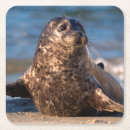 Pesquisar por franquia porta copos Delimont do danita