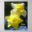 Pesquisar por do daffodil artes pósteres Primavera