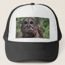 Pesquisar por owl bones Vida selvagem