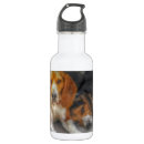 Pesquisar por beagle garrafa agua Cachorro