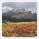 Pesquisar por picos adesivos Parque nacional