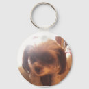 Pesquisar por peludo chaveiros Cão