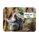 Pesquisar por ursos de panda imas Para todos