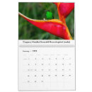 Pesquisar por beijo calendarios Pássaro