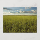 Pesquisar por socorro cartoes postais Pôr do sol