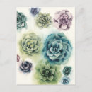 Pesquisar por planta cartoes postais Floral