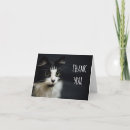 Pesquisar por gato preto e branco cartoes Obrigado