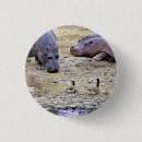 Pesquisar por hippo acessorios Animais selvagens