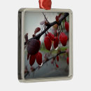 Pesquisar por galho ornamentos Para todos