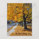 Pesquisar por beth cartoes postais Fotografia de outono