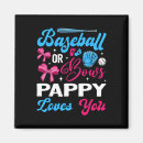 Pesquisar por gaiola imas Gaiola de batedura