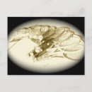 Pesquisar por raquete de tênis cartoes postais Qualquer pessoa