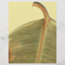 Pesquisar por paisagens flyers Cores