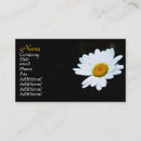 Pesquisar por margarida branca amarela cartao de visita Elegante