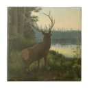 Pesquisar por no lago azulejos Natureza