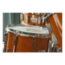 Pesquisar por instrumentos musicales pôsteres pósteres Tambor