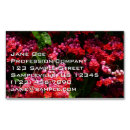 Pesquisar por flores coloridas cartao de visita Rosa