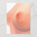 Pesquisar por tórax cartoes postais Close up