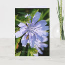 Pesquisar por buzina cartoes Natureza