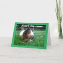 Pesquisar por gerbil cartoes postais Engraçado