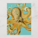 Pesquisar por haeckel de ernst cartoes postais Polvo