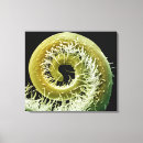 Pesquisar por micrografia impressão de canvas Imagem