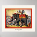 Pesquisar por elefante do vintage pôsteres pósteres História
