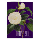 Pesquisar por pierre joseph redoute cartoes postais Flores da camellia