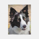 Pesquisar por border collie mantas Animais