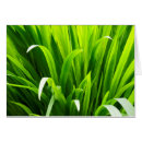 Pesquisar por beleza natural cartoes postais Abstrato