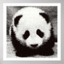 Pesquisar por do urso panda bebé pôsteres pósteres Para todos