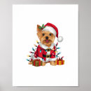 Pesquisar por yorkshire terrier dog pôsteres pósteres Cão