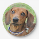 Pesquisar por dachshund pratos Fofofo
