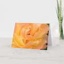 Pesquisar por rain drop cartoes Photography