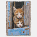 Pesquisar por gelado mantas Gato
