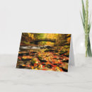 Pesquisar por structure cartoes postais Nature