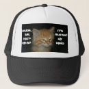 Pesquisar por head bones Gato