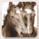 Pesquisar por retratos porta copos Cavalos
