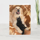 Pesquisar por dog lover cartoes Kitty