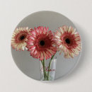 Pesquisar por gerberas botons Para ela
