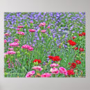 Pesquisar por flores misturadas pôsteres pósteres Fotografia