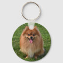 Pesquisar por pom pom pom chaveiros Animal